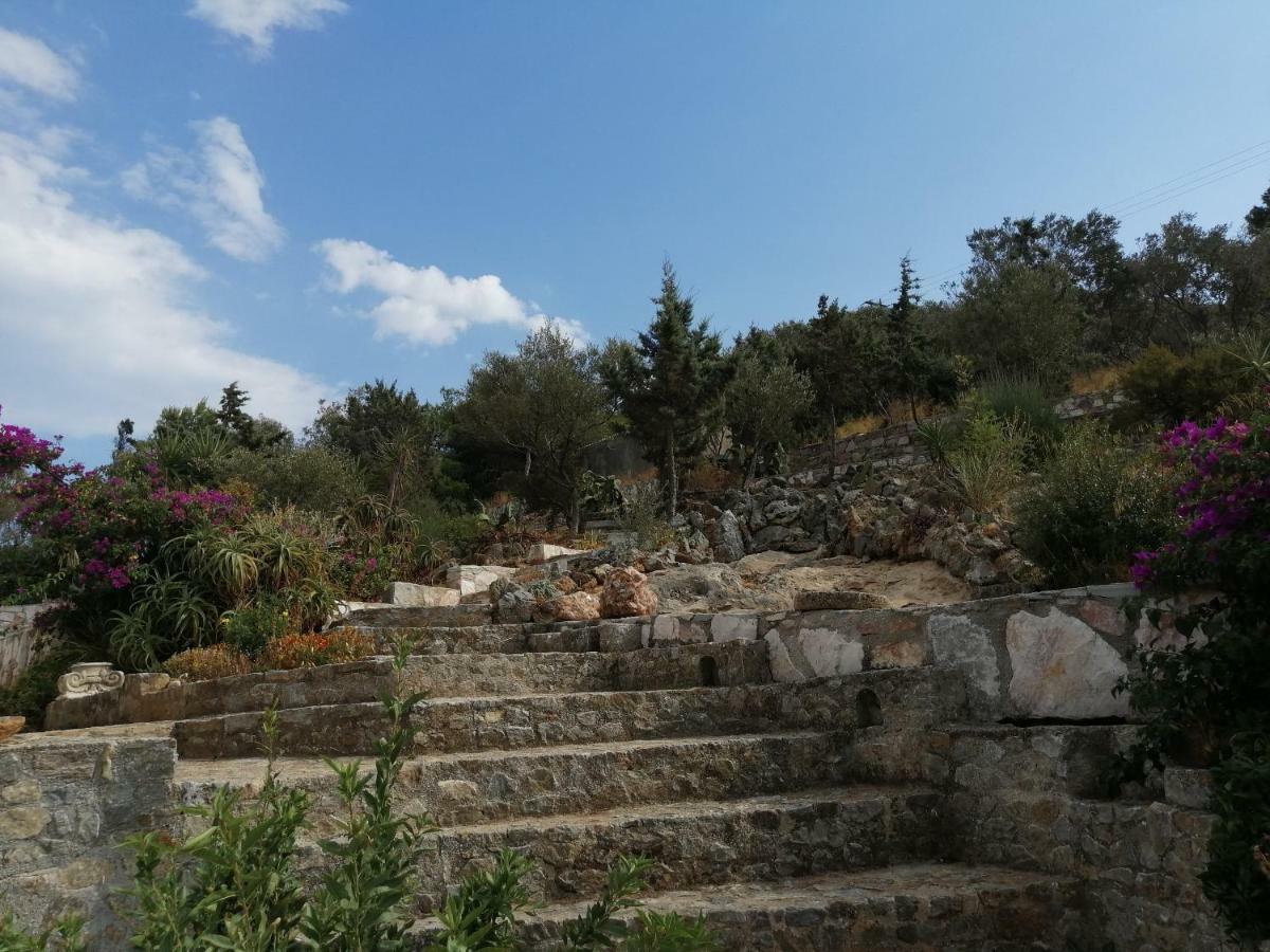 Markópoulon Artemis Villa Near Athens Airport מראה חיצוני תמונה